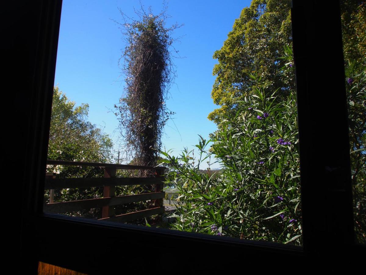 Cosy, Comfortable Cottage - Views & Location Plus Beauty Point Exteriér fotografie