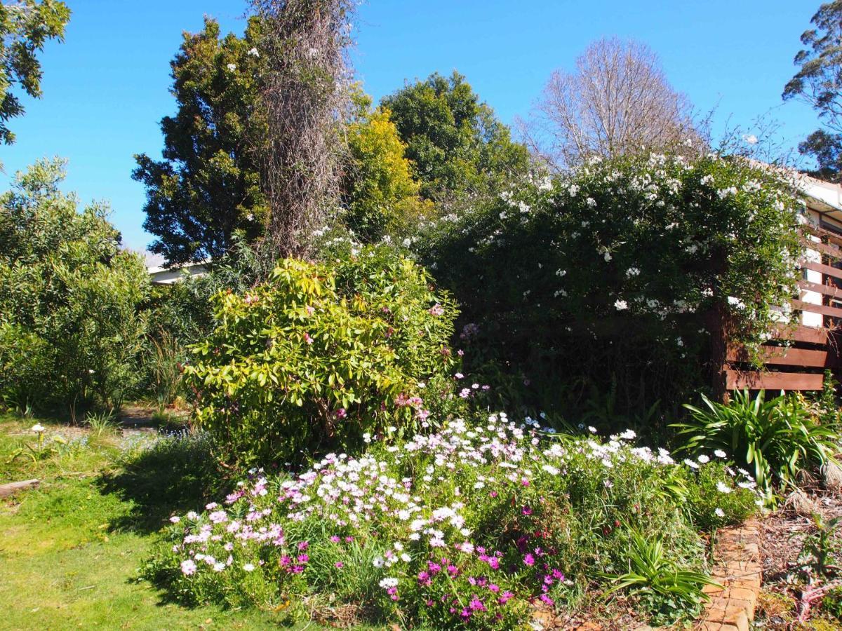 Cosy, Comfortable Cottage - Views & Location Plus Beauty Point Exteriér fotografie